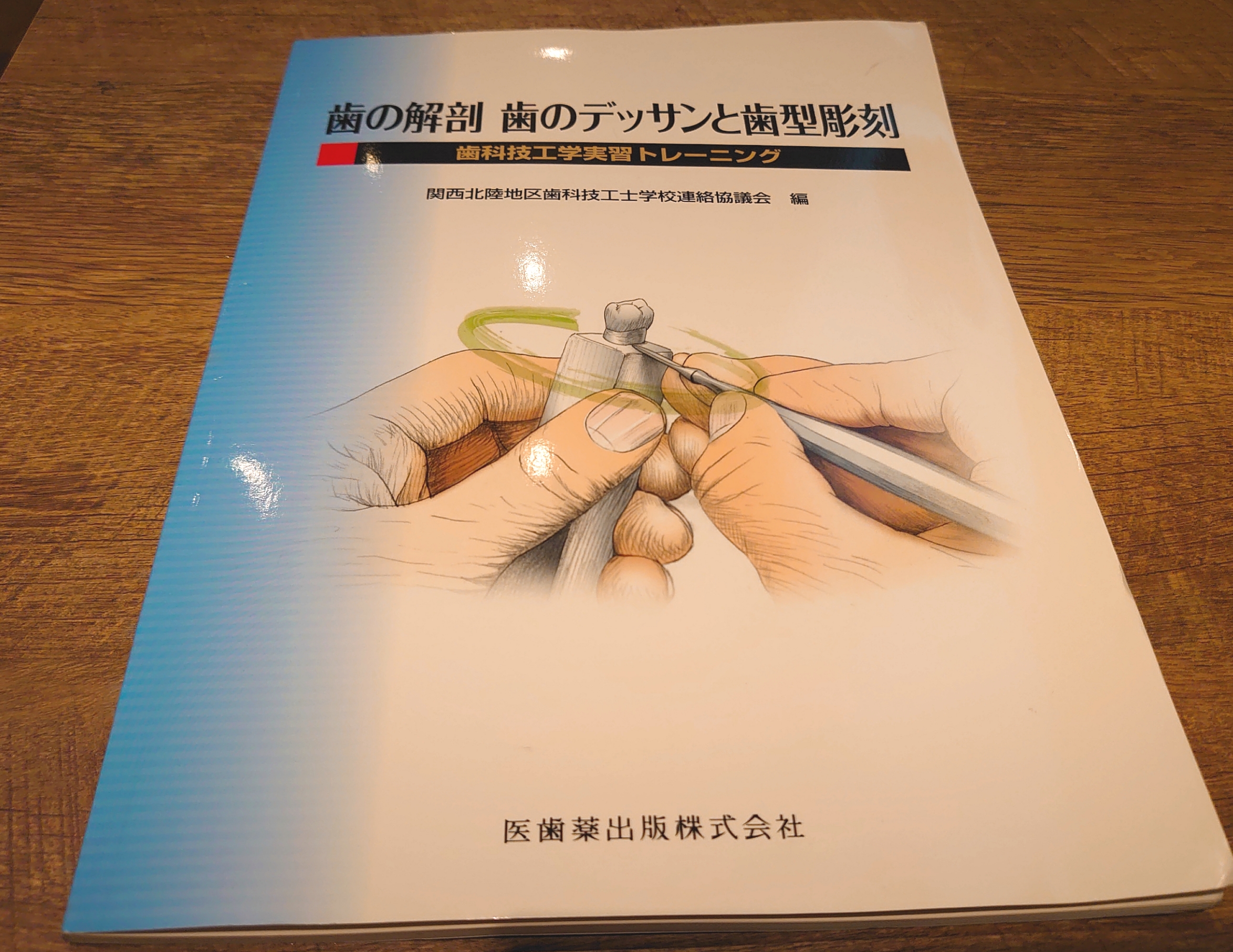 特売割30% 歯の解剖学と歯型彫刻法 歯科学 psikologi-metamorfosa.com